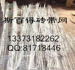 供應(yīng)磚帶網(wǎng) 建筑用磚帶網(wǎng) 焊接磚帶網(wǎng) 安平斯百得絲網(wǎng)