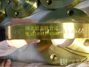 dn300法蘭盤 供應(yīng)dn300法蘭盤 國標(biāo)碳鋼法蘭盤 工程建筑法蘭盤